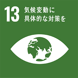 sdg_icon_13